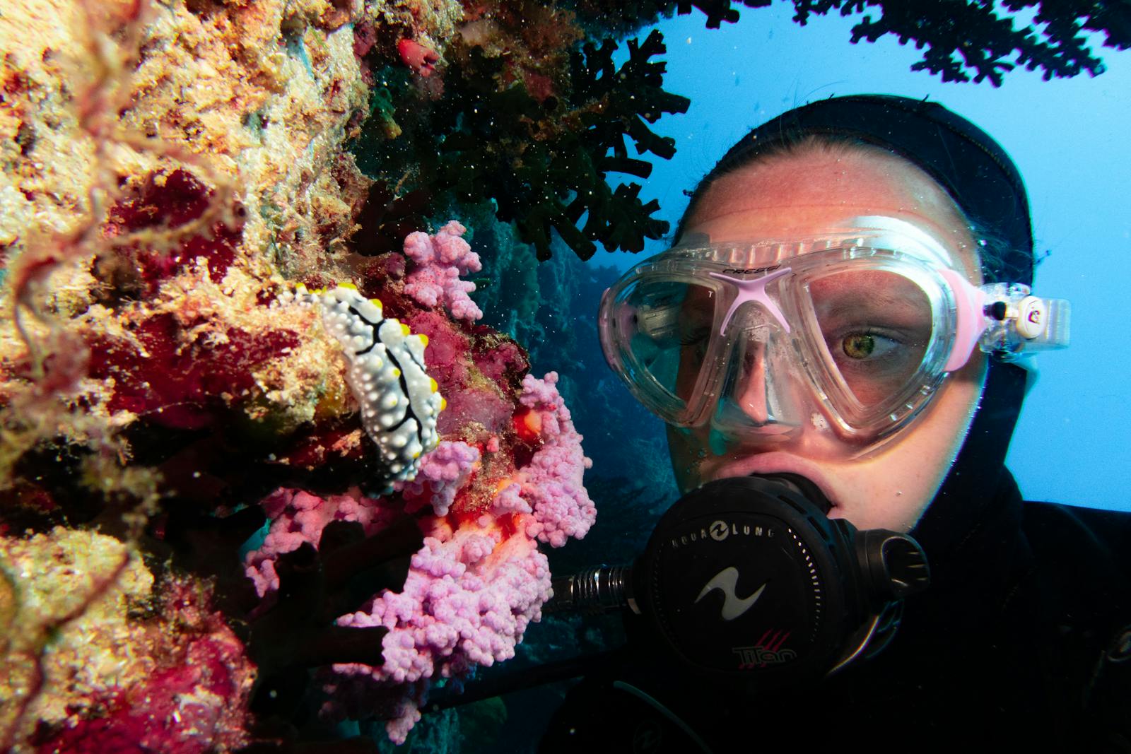 Ecosystem Mapping & Marine Surveys